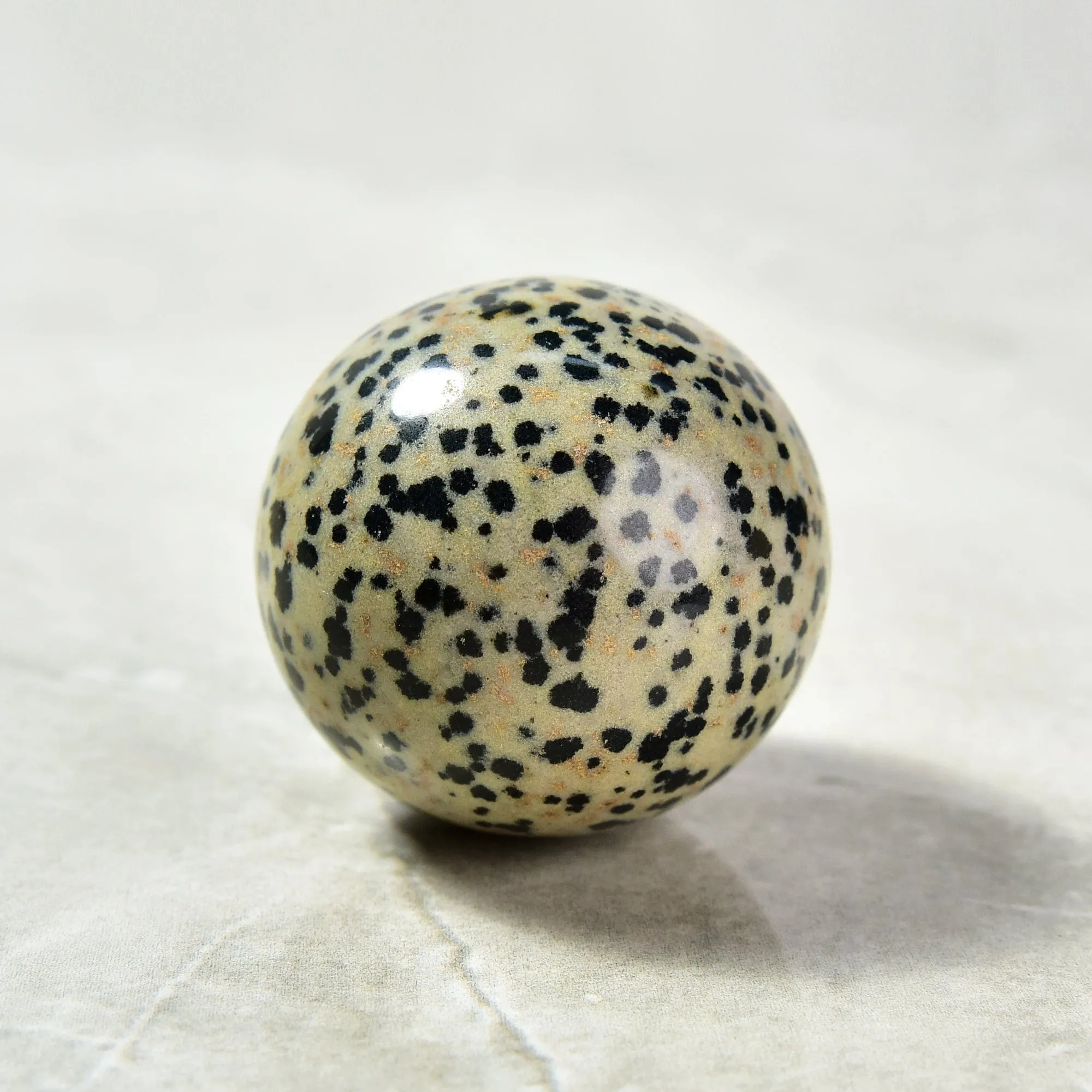 1.6 Dalmation Jasper Sphere Natural Gemstone Carving