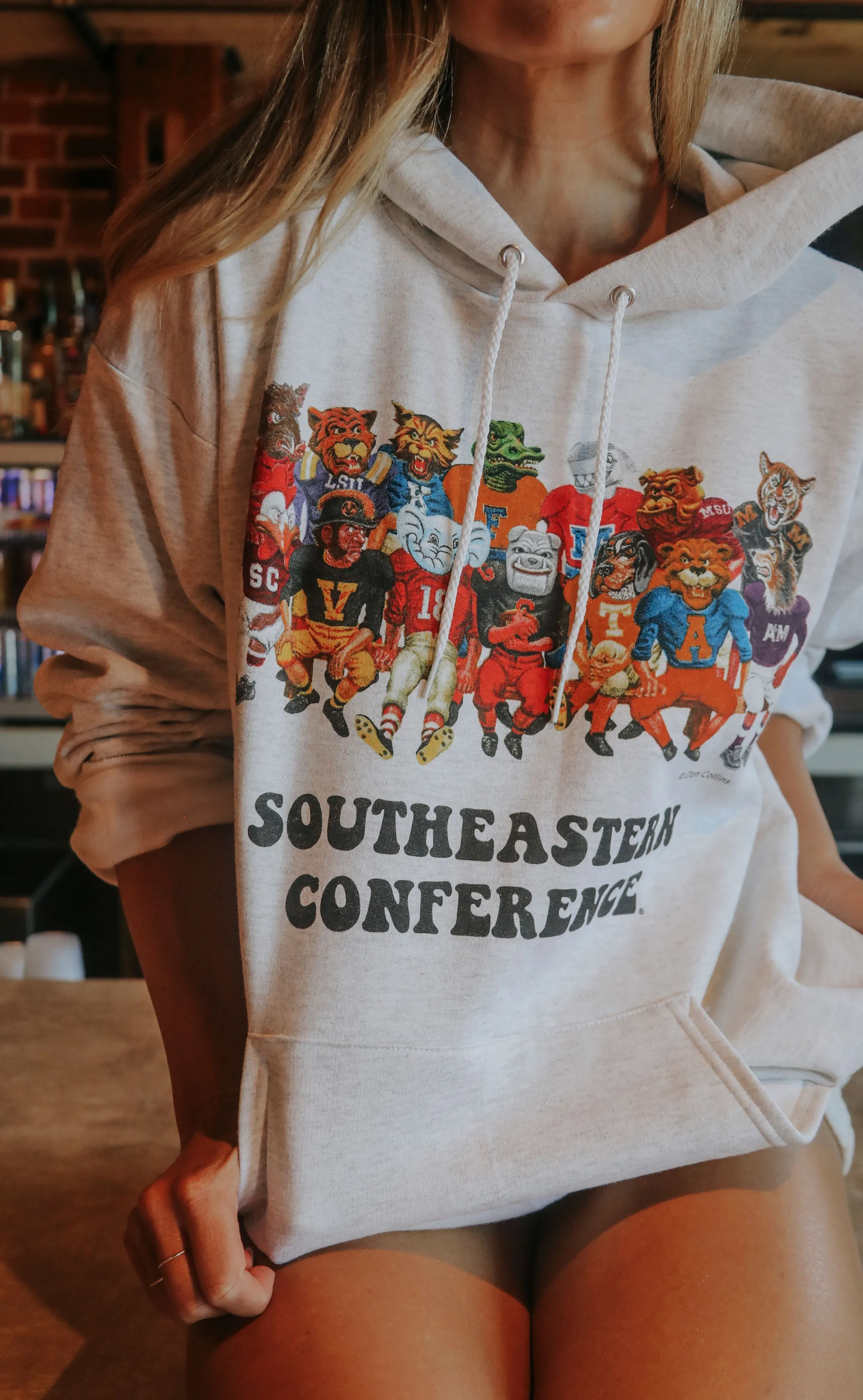 charlie southern: sec family hooded sweatshirt