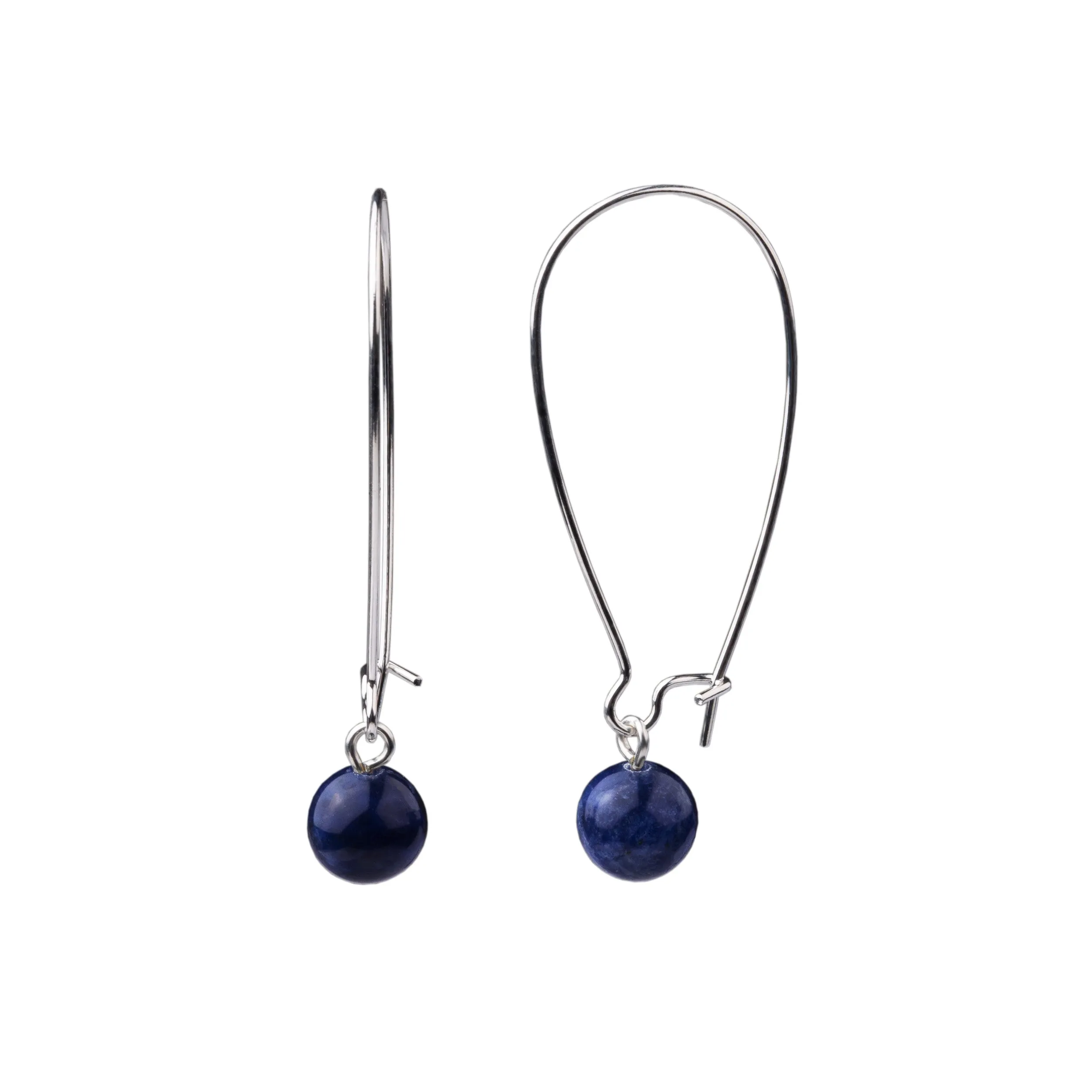 Earring | Kidney Wire - Large  | Sodalite