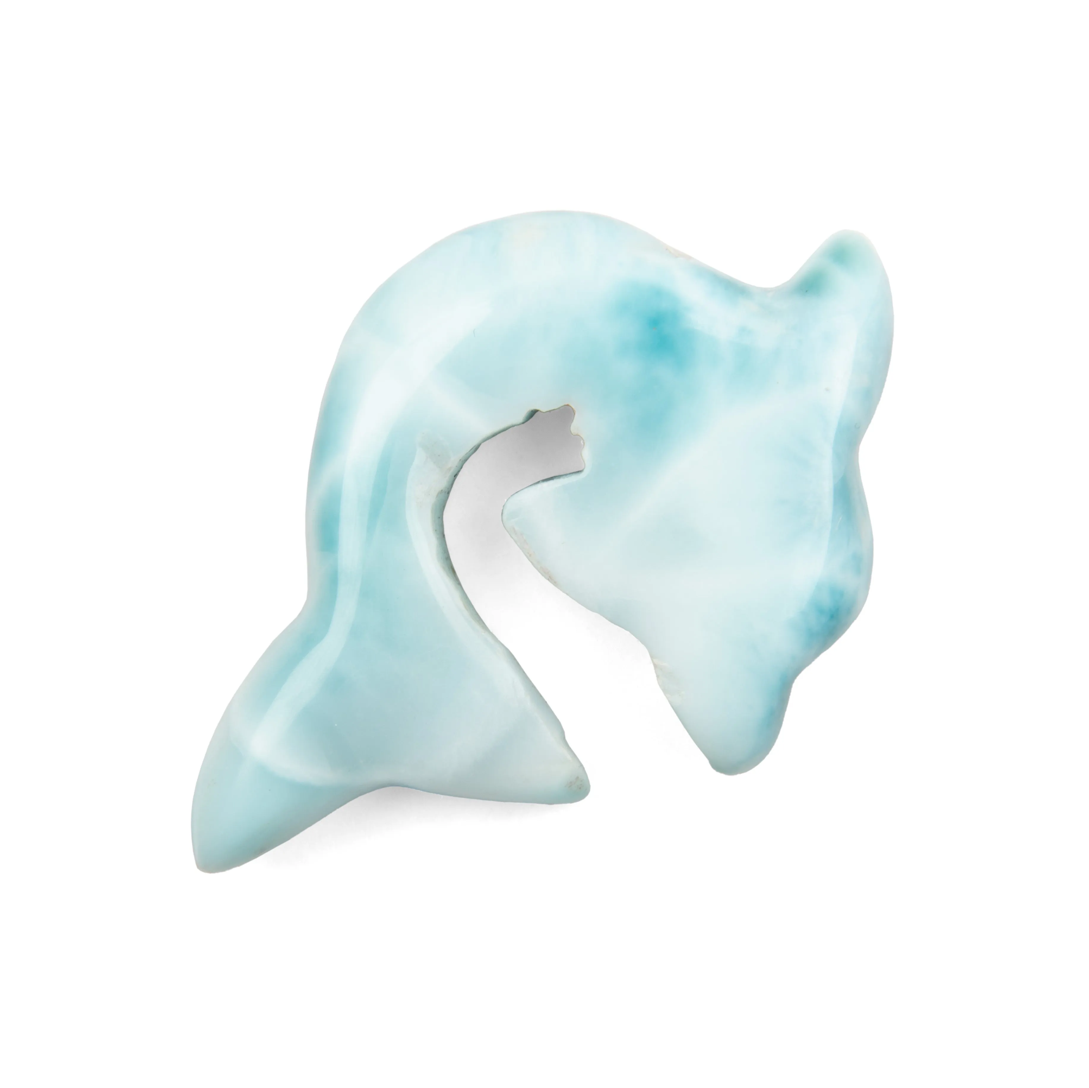 Larimar Dolphin