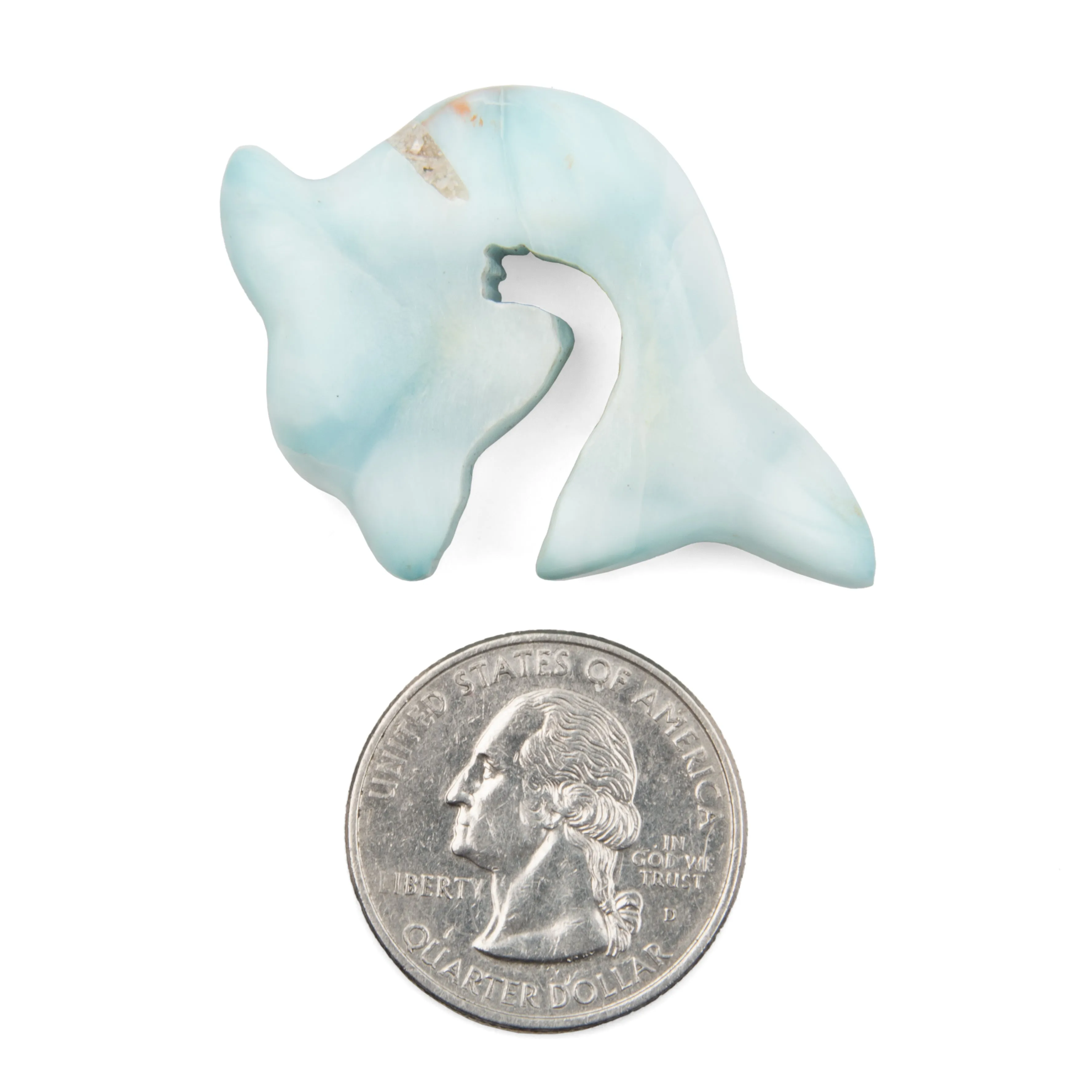 Larimar Dolphin