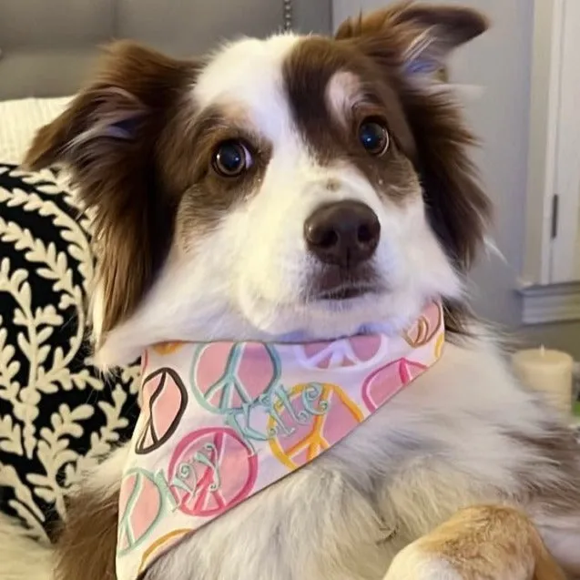 Peace and Love Custom Embroidered Bandanas