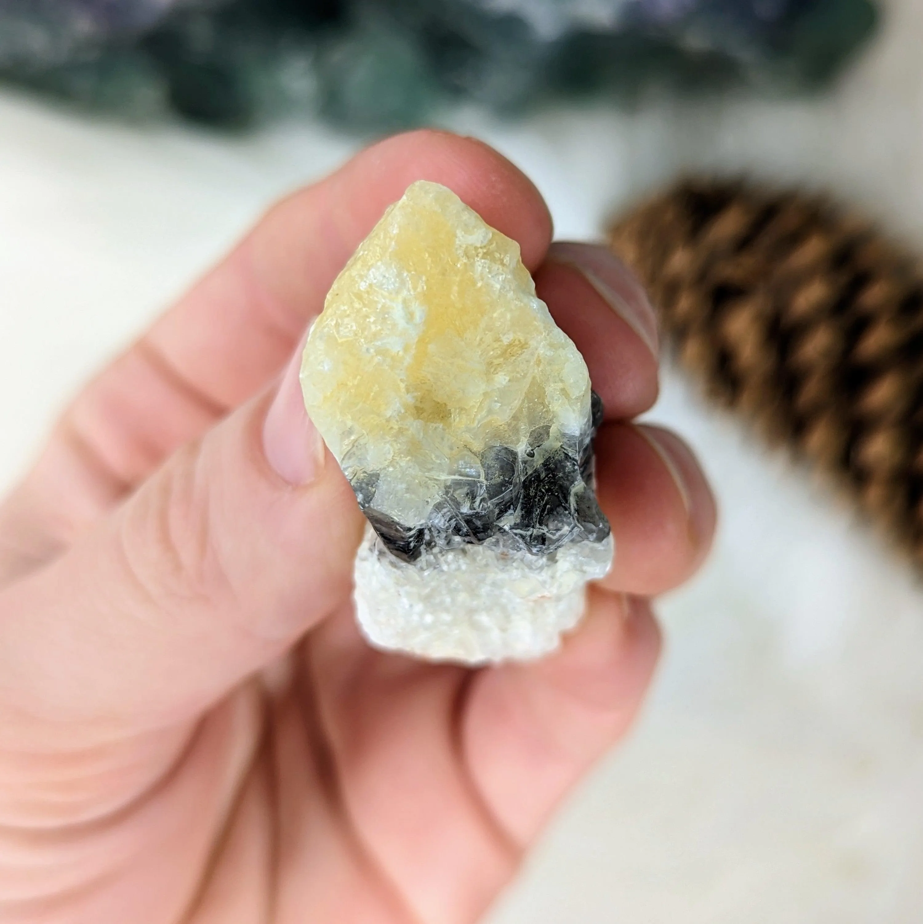 White, Honey and Black Calcite from Mexico ~ Small and Mighty Specimen